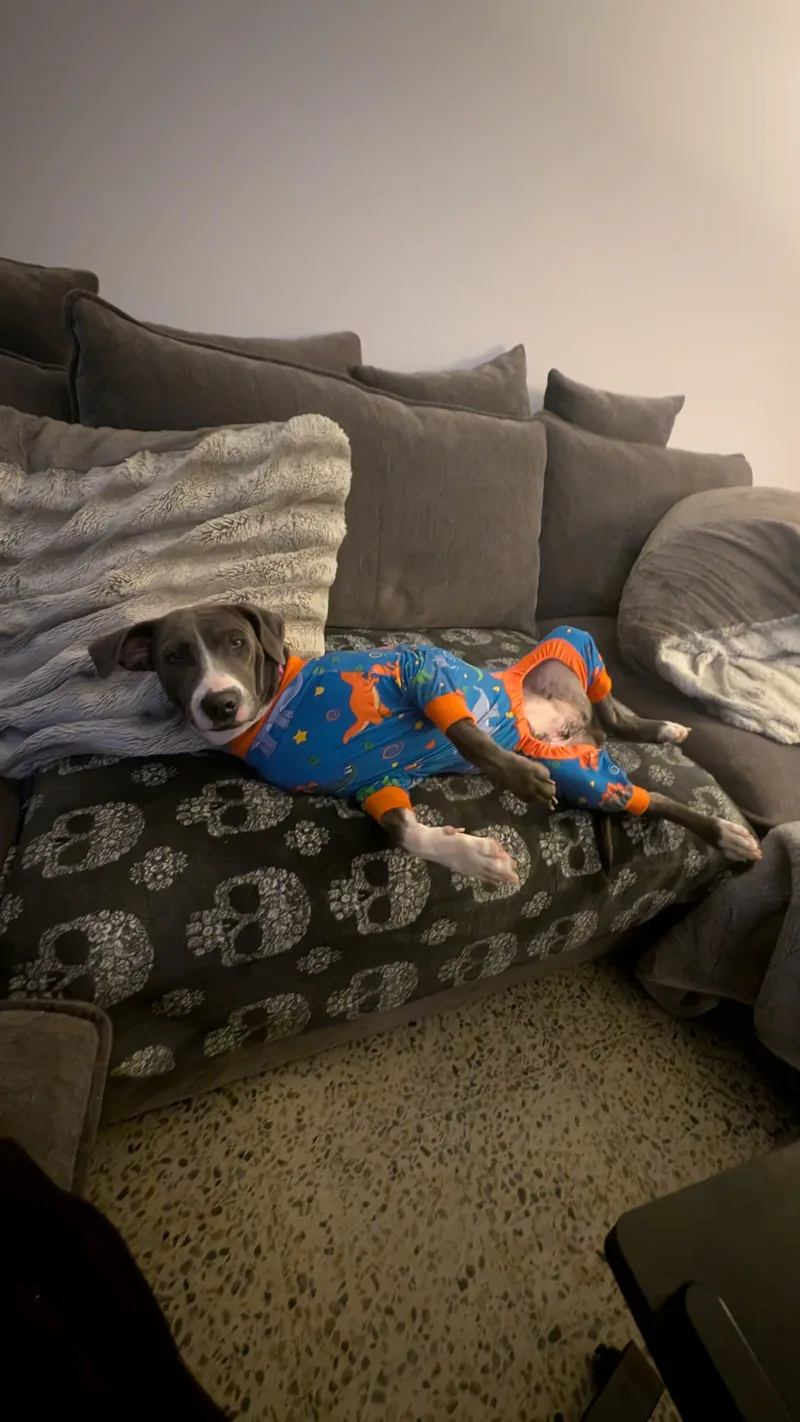 MOONPIE  literally the thumbnail 4