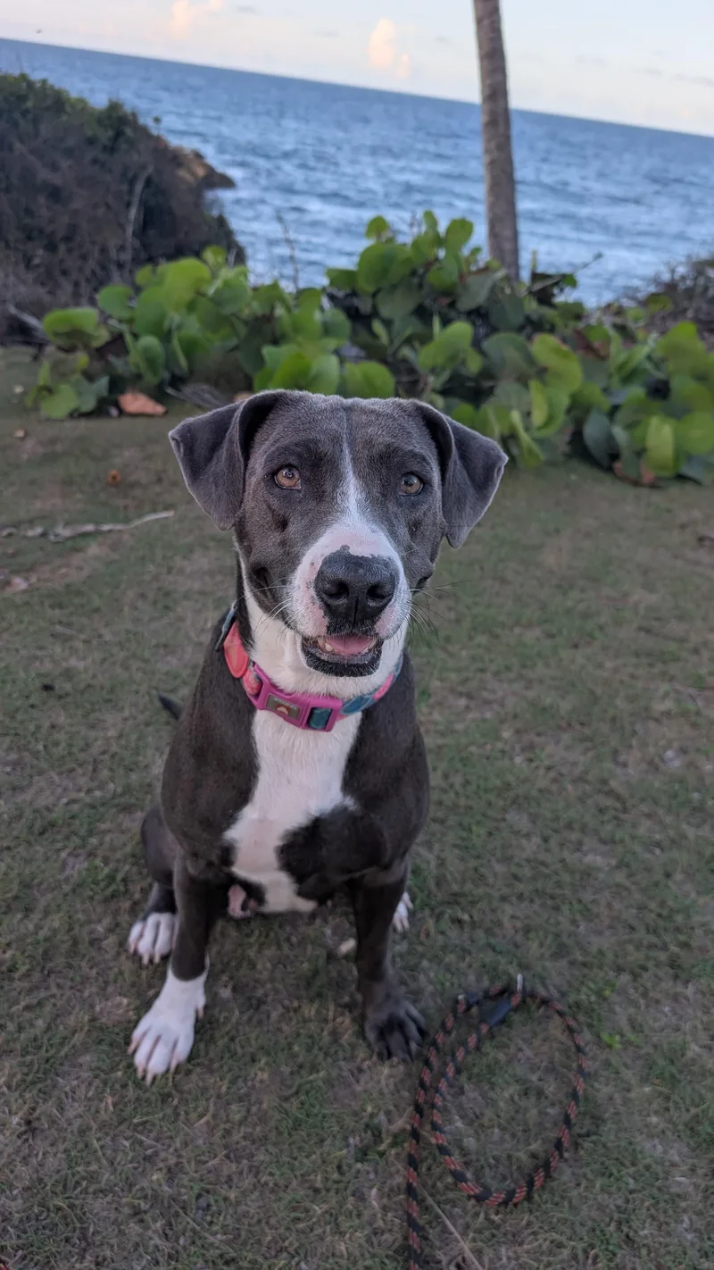 MOONPIE  literally the thumbnail 6