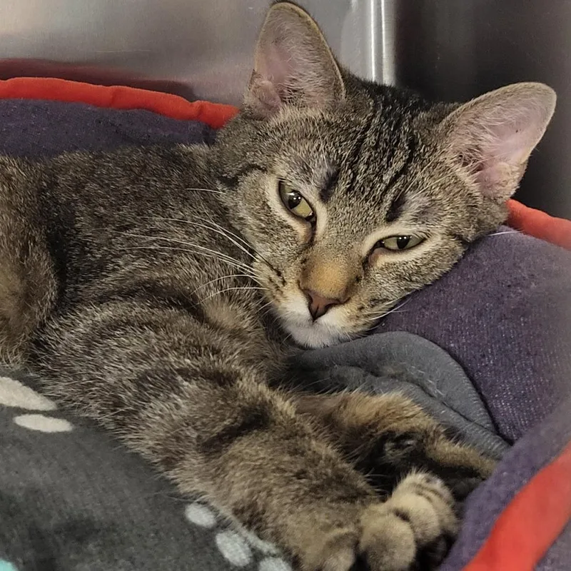 Dear John thumbnail 3