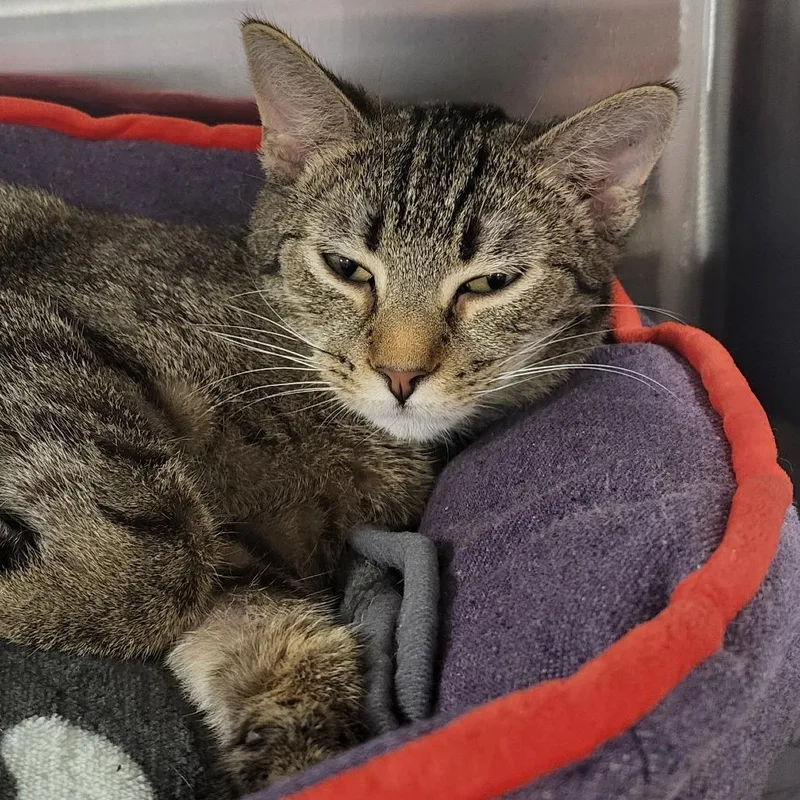 Dear John thumbnail 4