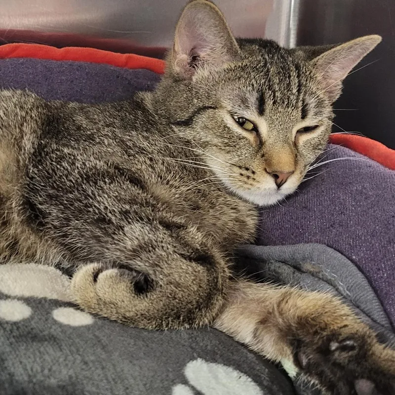 Dear John thumbnail 5