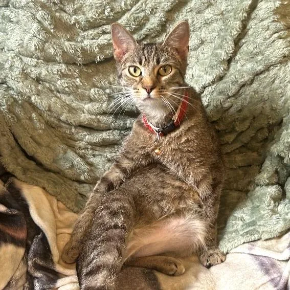 Dear John thumbnail 6