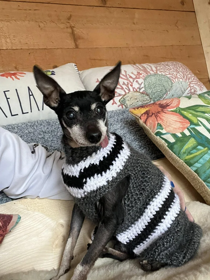 Butter Bean thumbnail 2