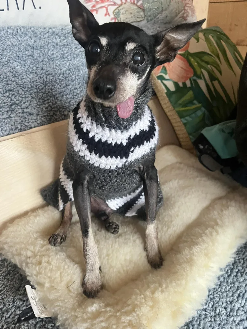 Butter Bean thumbnail 3