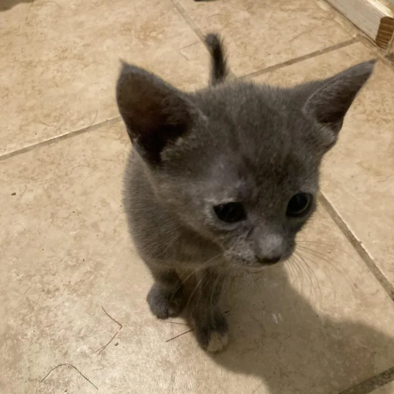 Mitzi Mae EF thumbnail 2