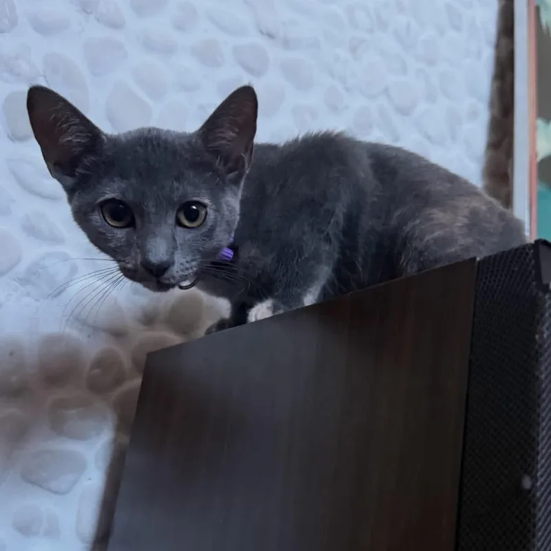 Mitzi Mae EF thumbnail 3