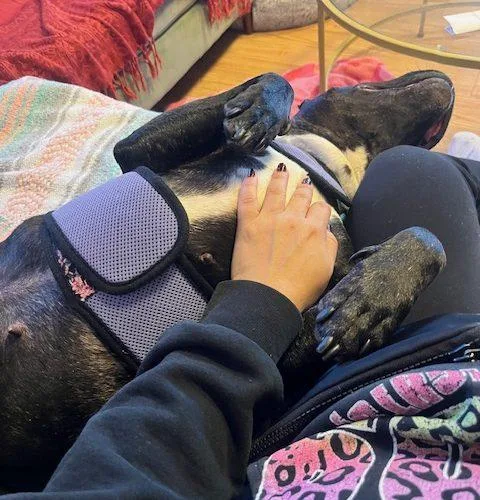 Sweet Petite Ivy thumbnail 6