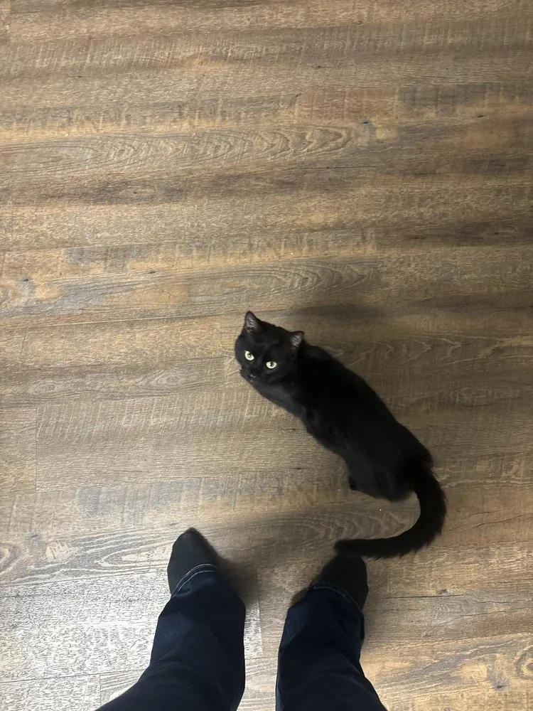 Cleopatra thumbnail 3