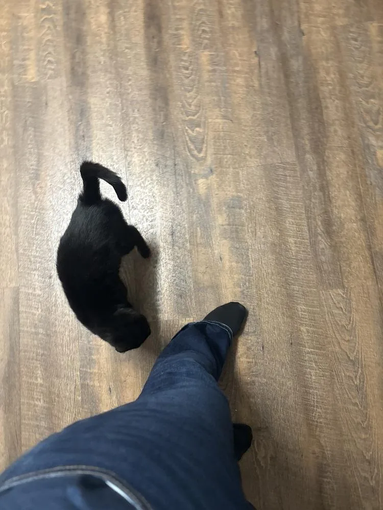 Cleopatra thumbnail 4