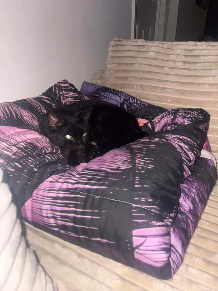 Cleopatra thumbnail 5