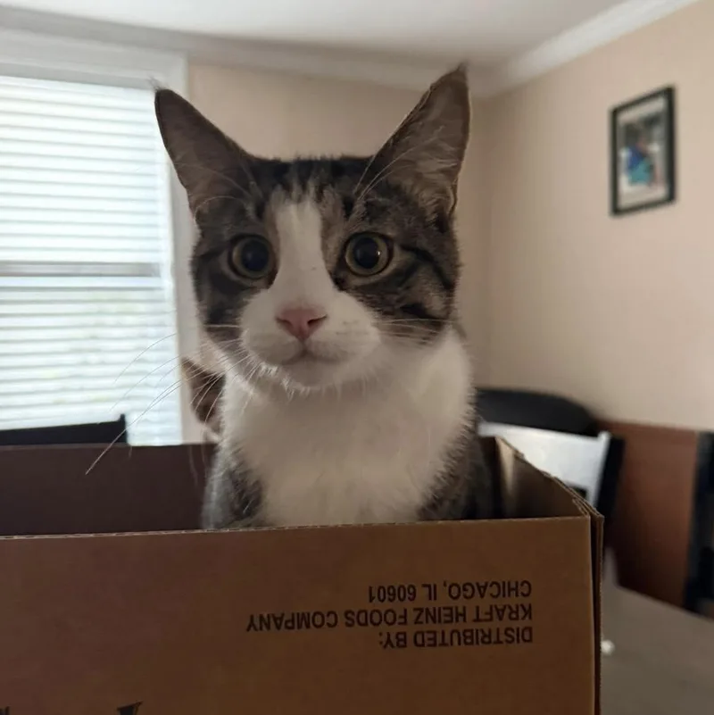 El & Choo Choo thumbnail 4