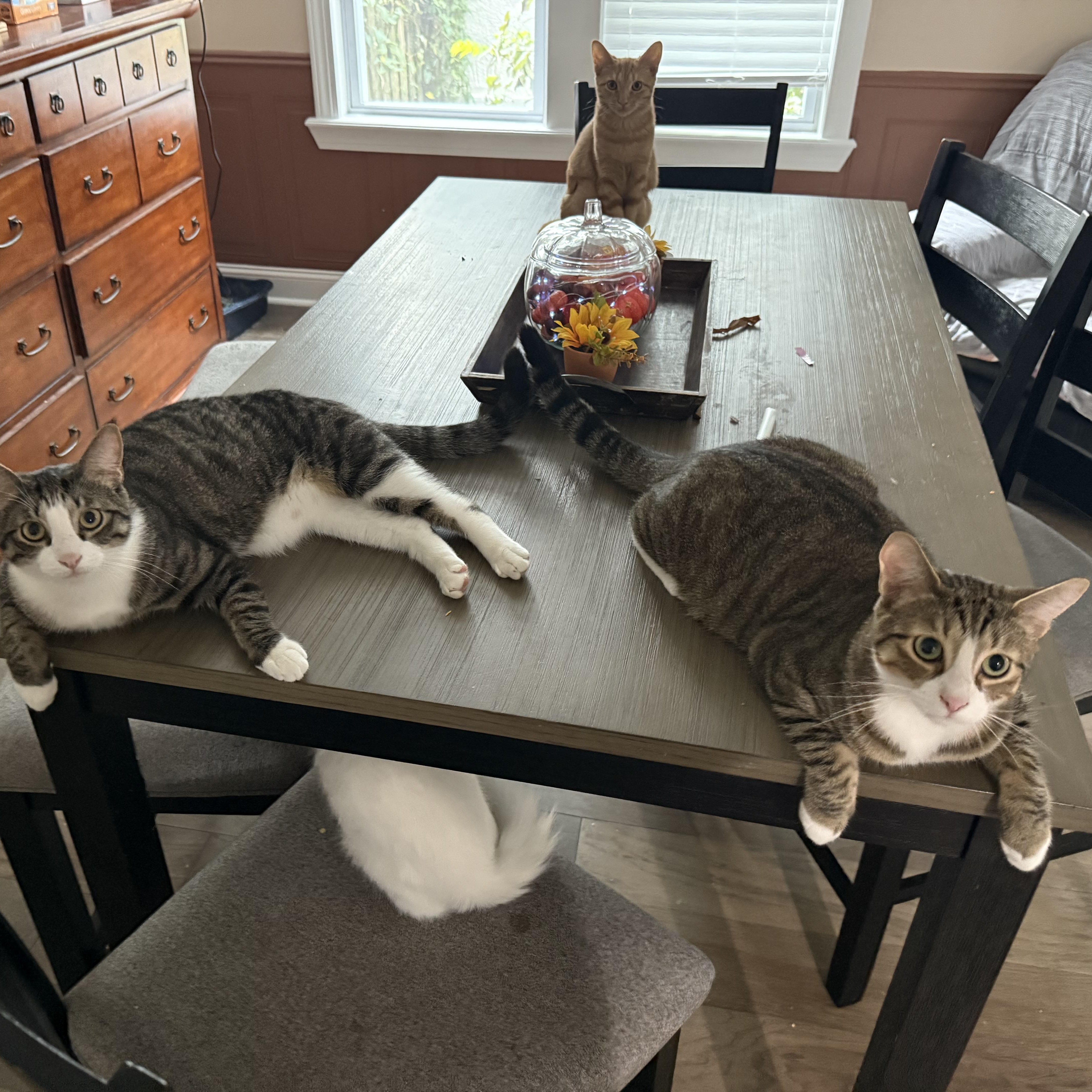 El & Choo Choo thumbnail 6