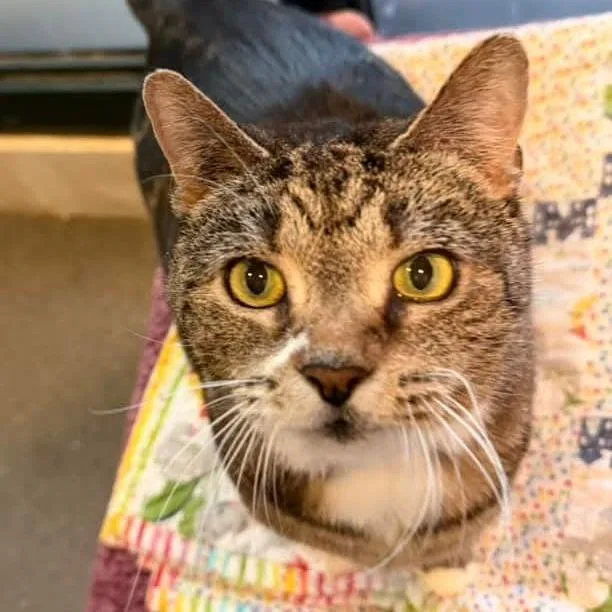 Princess thumbnail 2