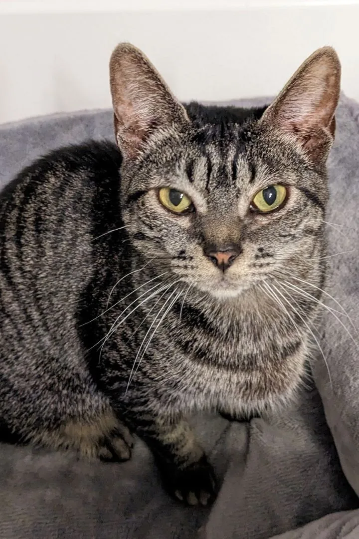 Millie + Orville thumbnail 2