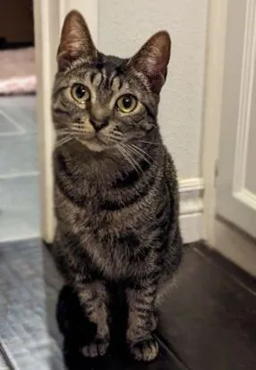 Millie + Orville thumbnail 5