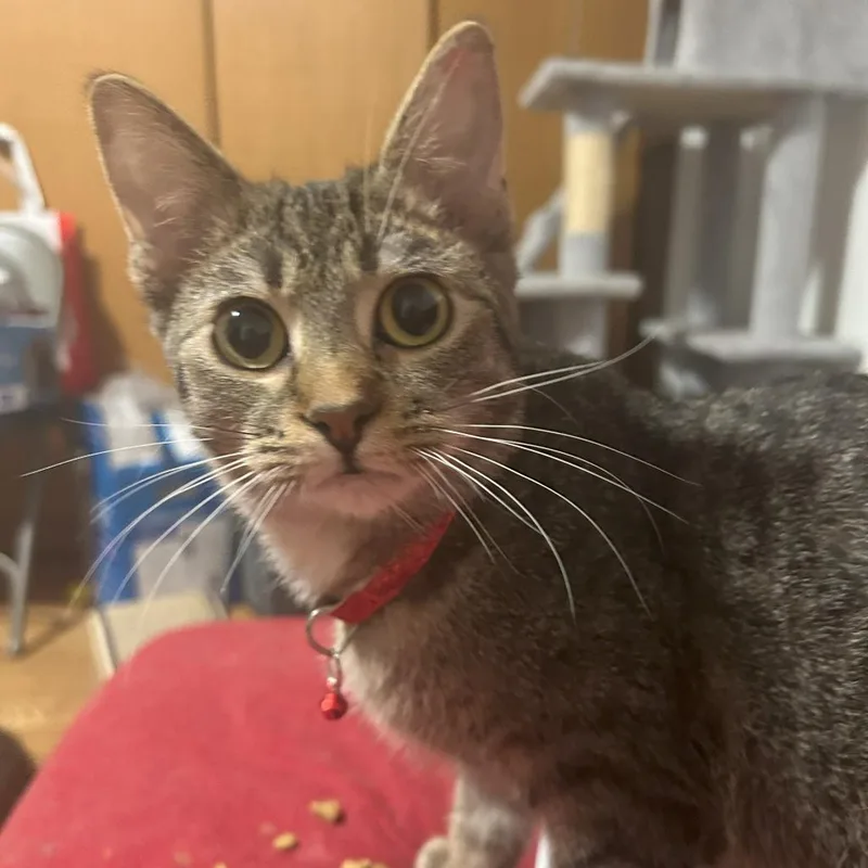 Dear John thumbnail 2