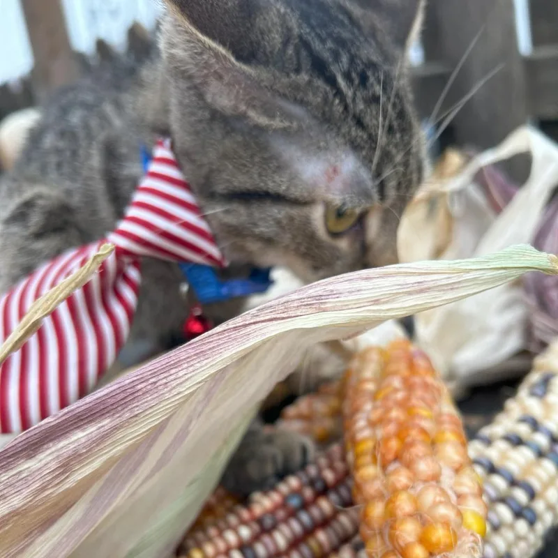 Dear John thumbnail 3