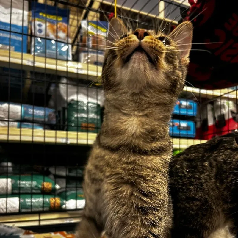 Dear John thumbnail 5