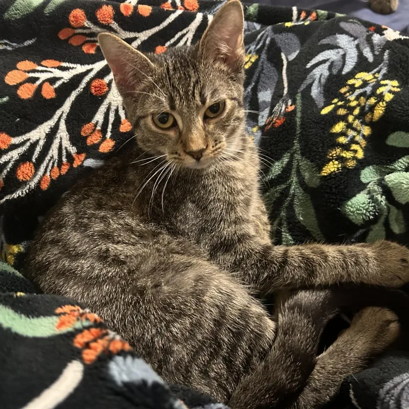 Dear John thumbnail 6