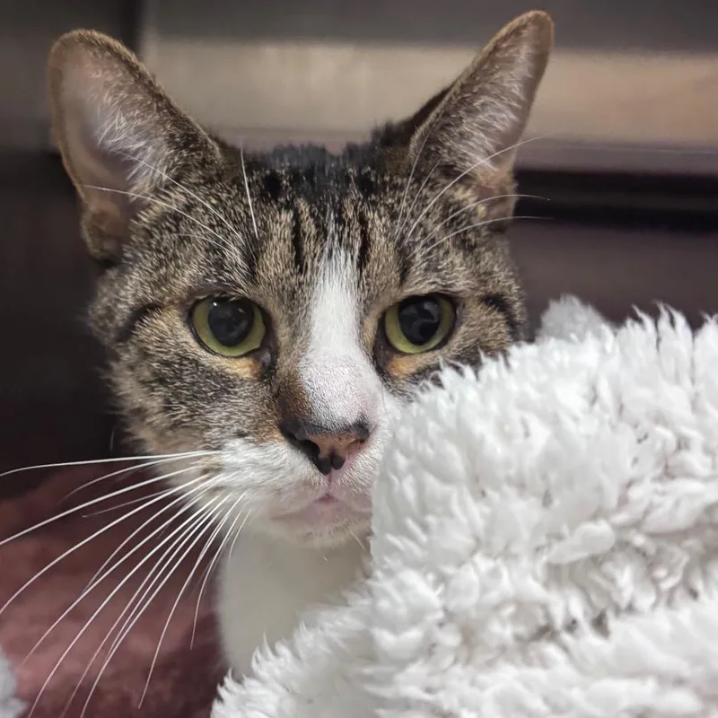 Heathrow thumbnail 2