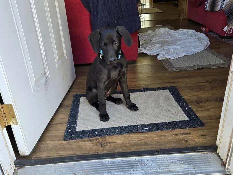 Benjamin thumbnail 3