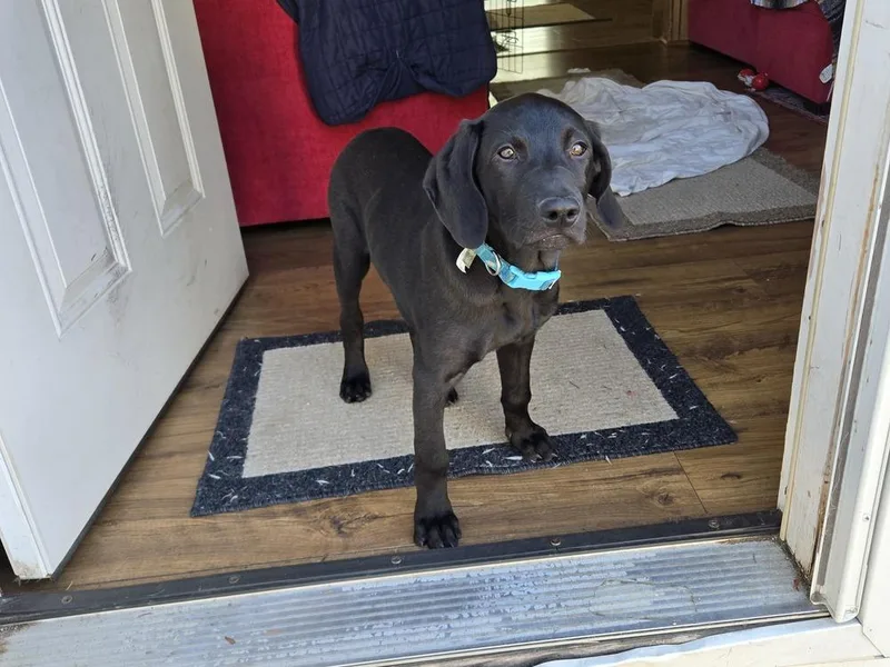 Benjamin thumbnail 6