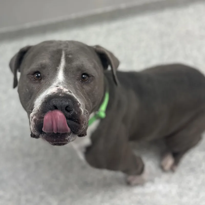 Undertaker thumbnail 2