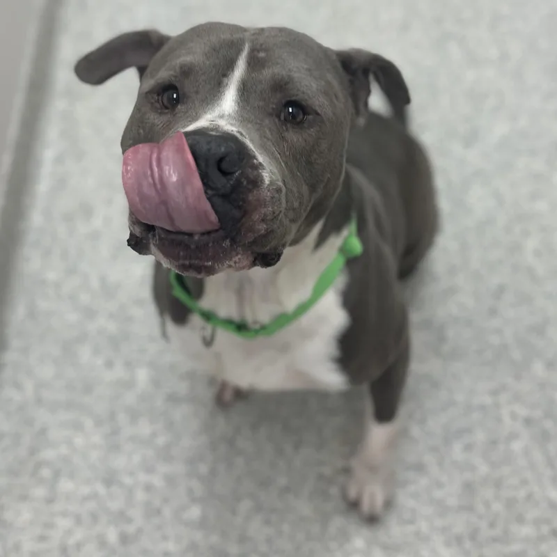 Undertaker thumbnail 3