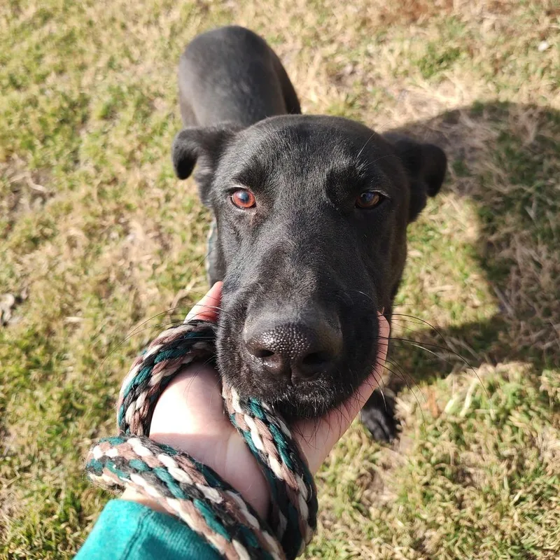 Sam Winchester D thumbnail 2