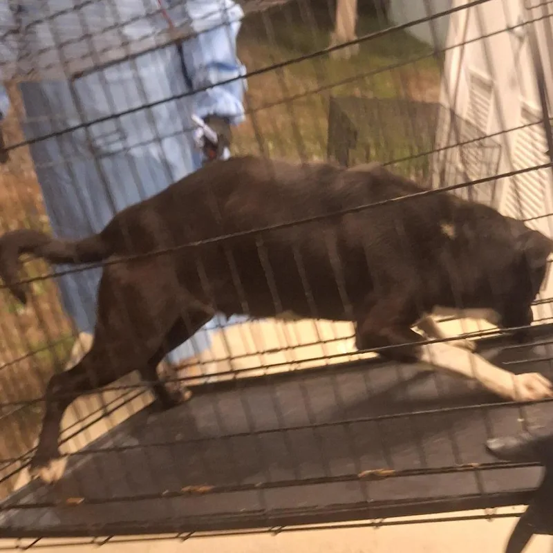 Little Sunshine thumbnail 2