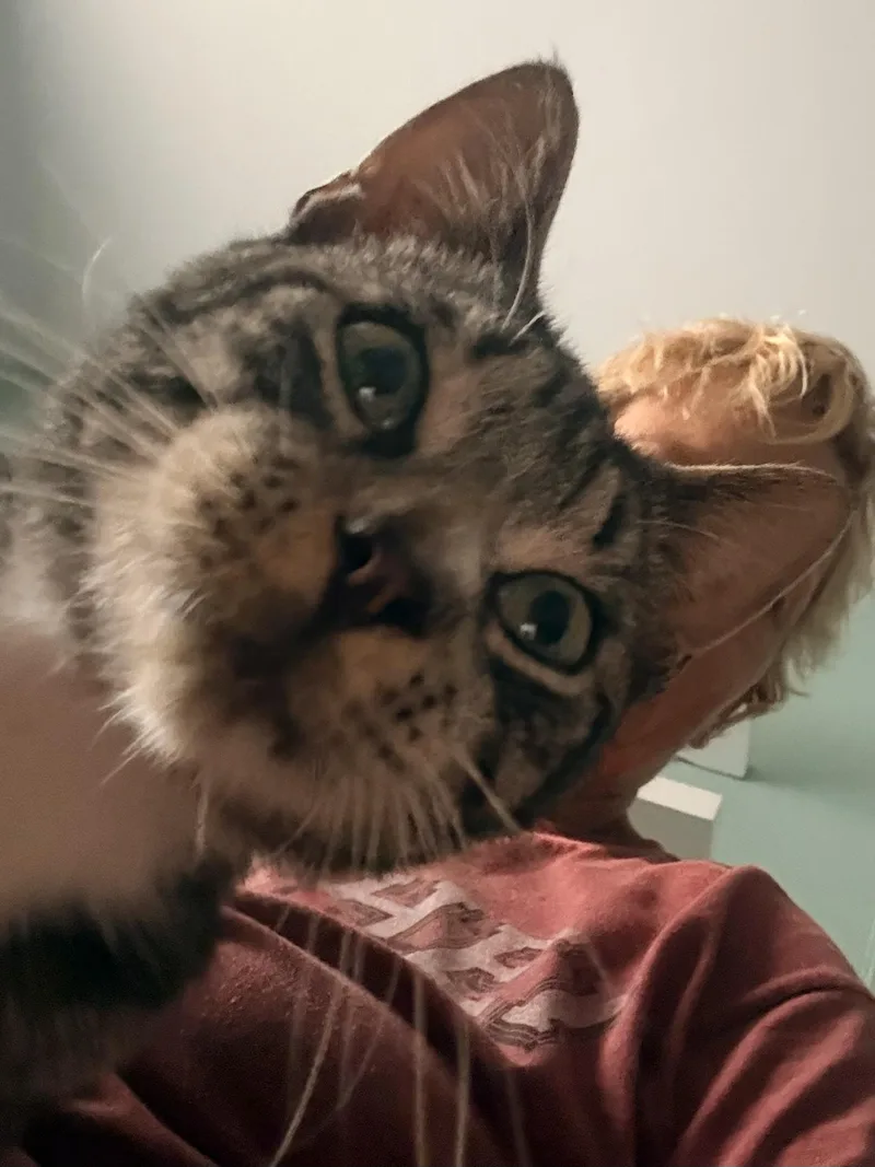 Frankie thumbnail 4