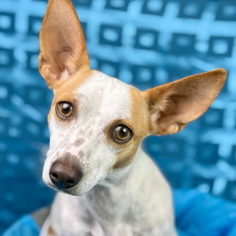 Libby  My What thumbnail 2