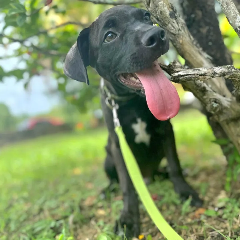 Kisco "i Am Ready thumbnail 2