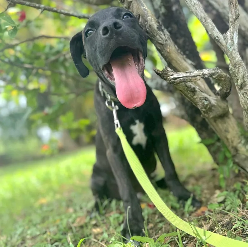 Kisco "i Am Ready thumbnail 3