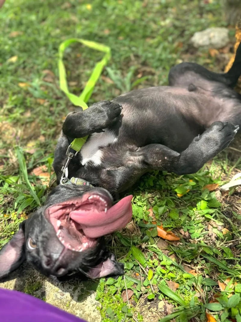 Kisco "i Am Ready thumbnail 4