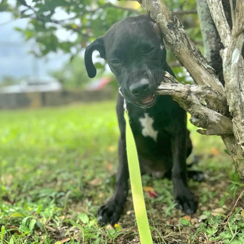 Kisco "i Am Ready thumbnail 5