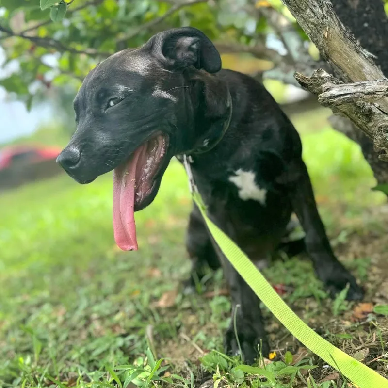 Kisco "i Am Ready thumbnail 6