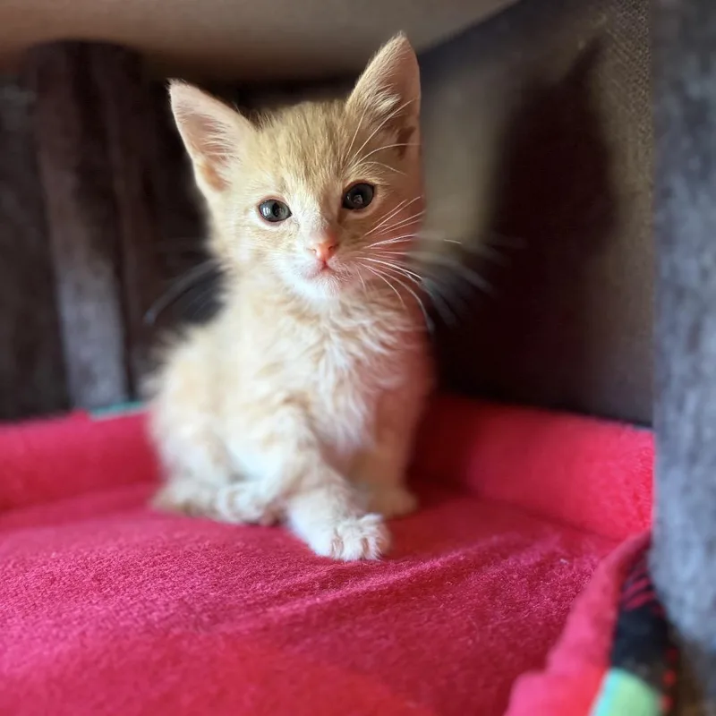 John John thumbnail 2