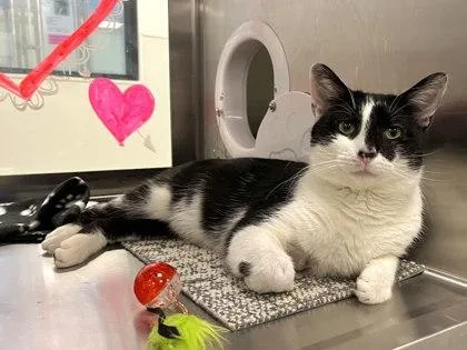 Giacomo  Fiv+ thumbnail 2