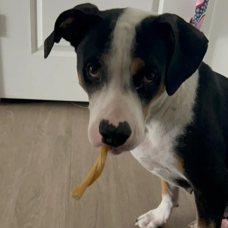 Lola thumbnail 2