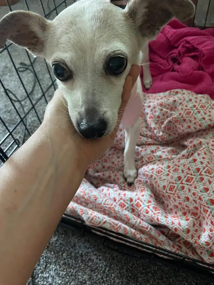 Chloe