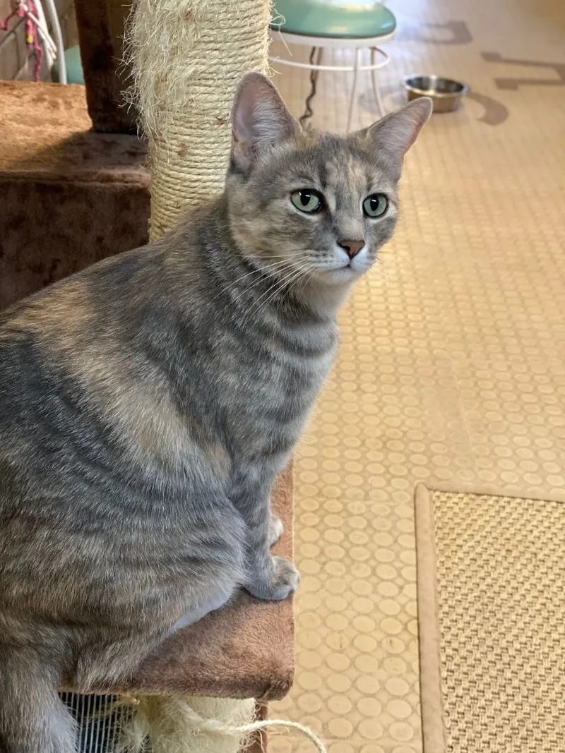 Emi