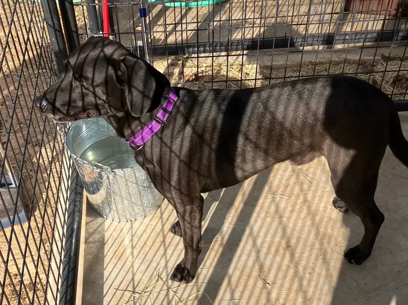 Biggy Smalls thumbnail 4