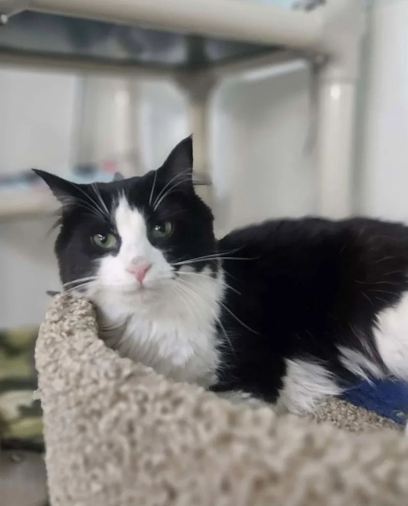 Little Girl And Little thumbnail 2