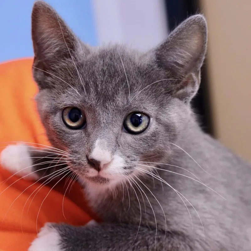 Milliejordan thumbnail 2