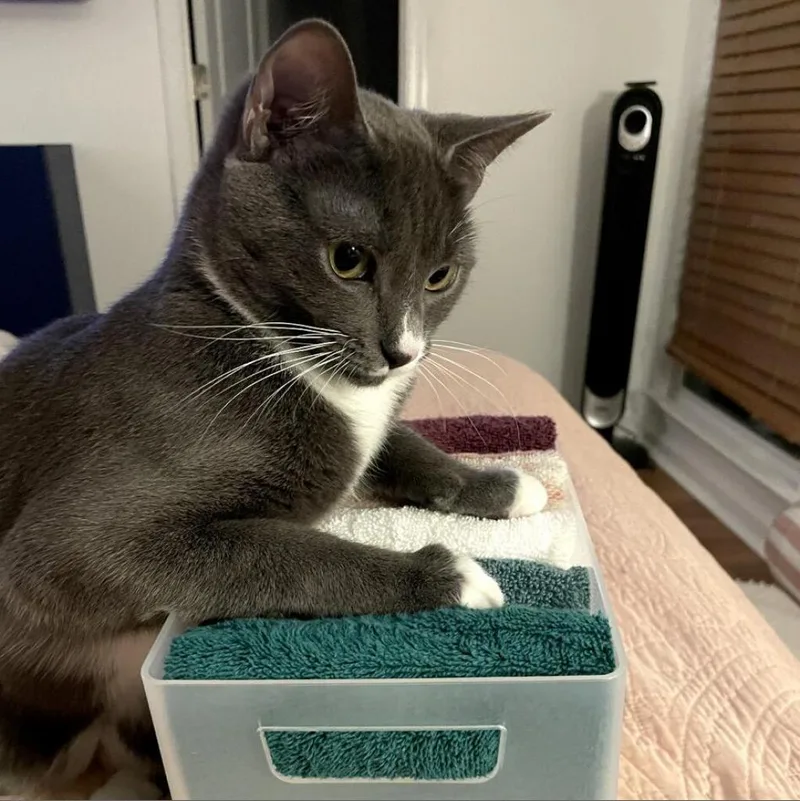 Milliejordan thumbnail 3