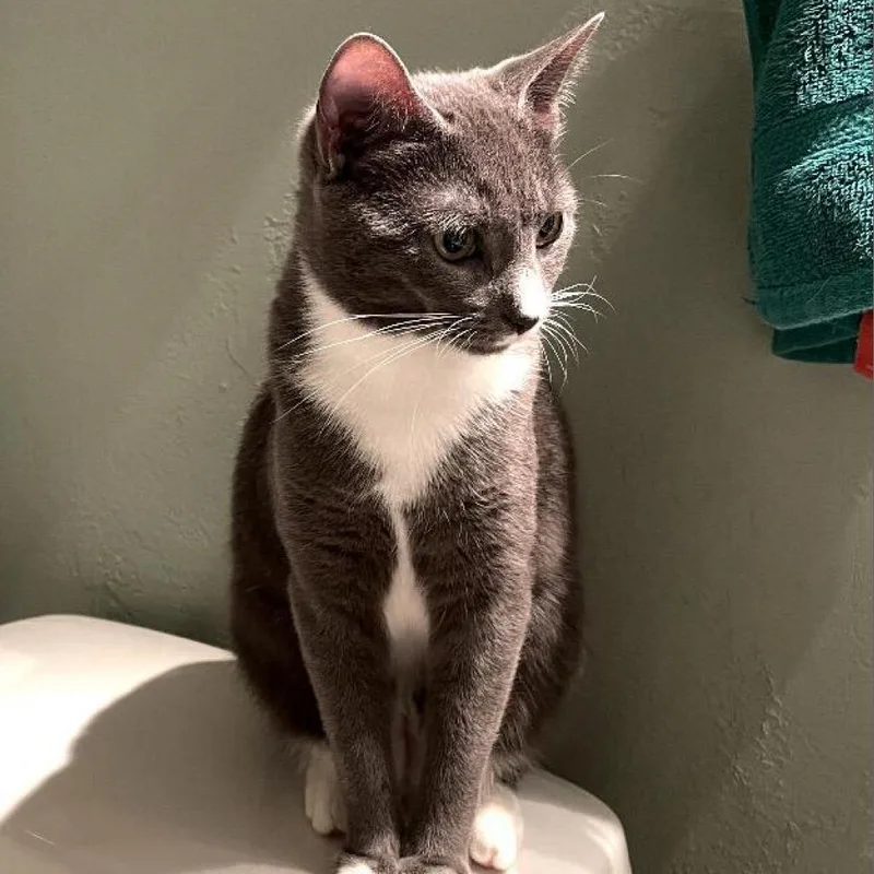 Milliejordan thumbnail 4