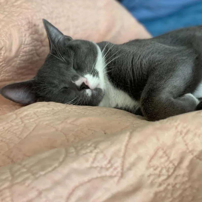 Milliejordan thumbnail 5