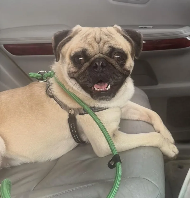 Milow thumbnail 3