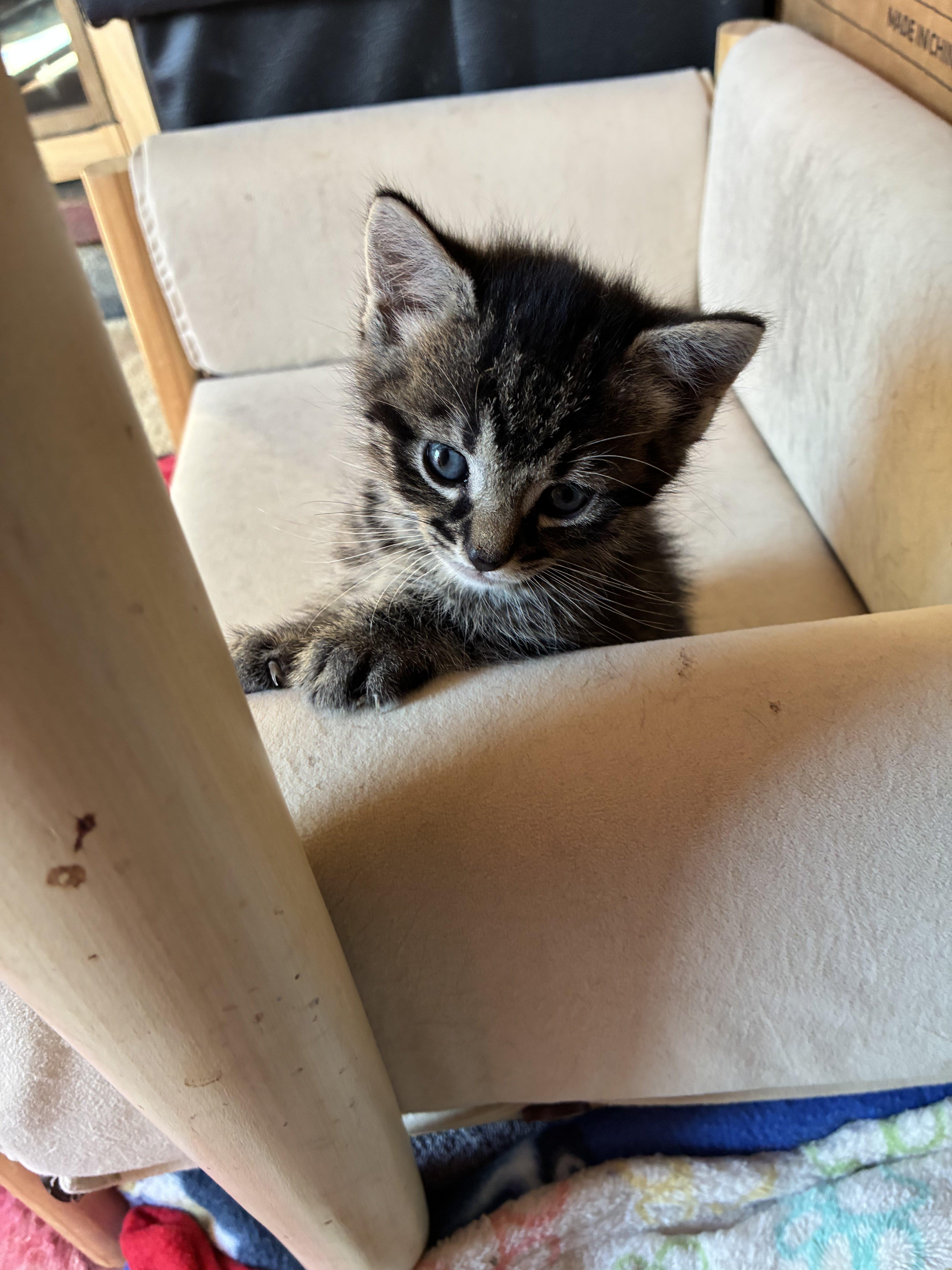 Mordechai thumbnail 5